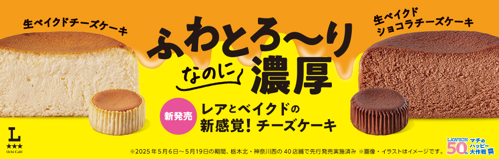 レアとベイクドの新感覚！チーズケーキ
