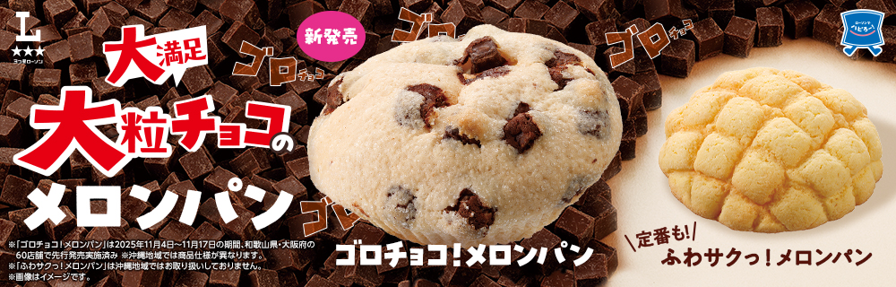 ＼大満足！／大粒チョコのメロンパン