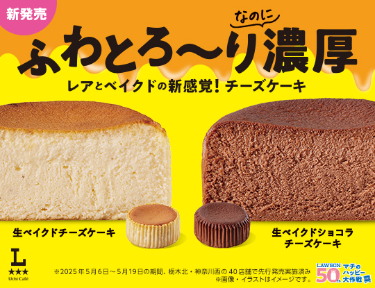 レアとベイクドの新感覚！チーズケーキ